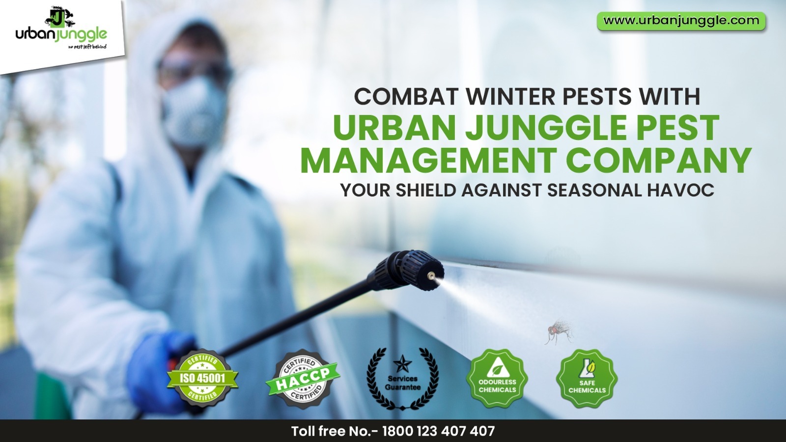 Combat Winter Pests with Urban Junggle Pest Management Company – Your Shield Against Seasonal Havoc